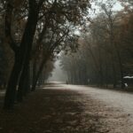 Похмура паркова алея з мокрим шляхом серед дерев і наметами
